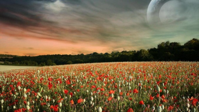 MacOS真的比Windows流畅吗？